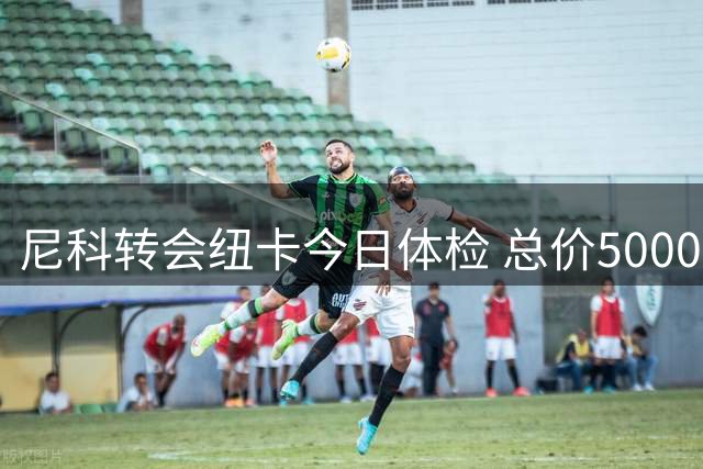 尼科转会纽卡今日体检 总价5000万英镑含浮动条款
