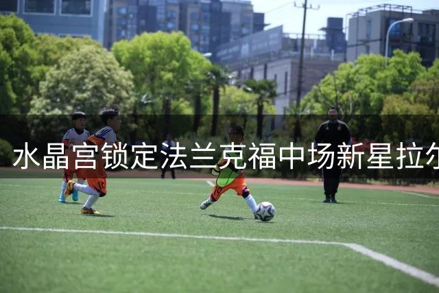 水晶宫锁定法兰克福中场新星拉尔森为引援目标